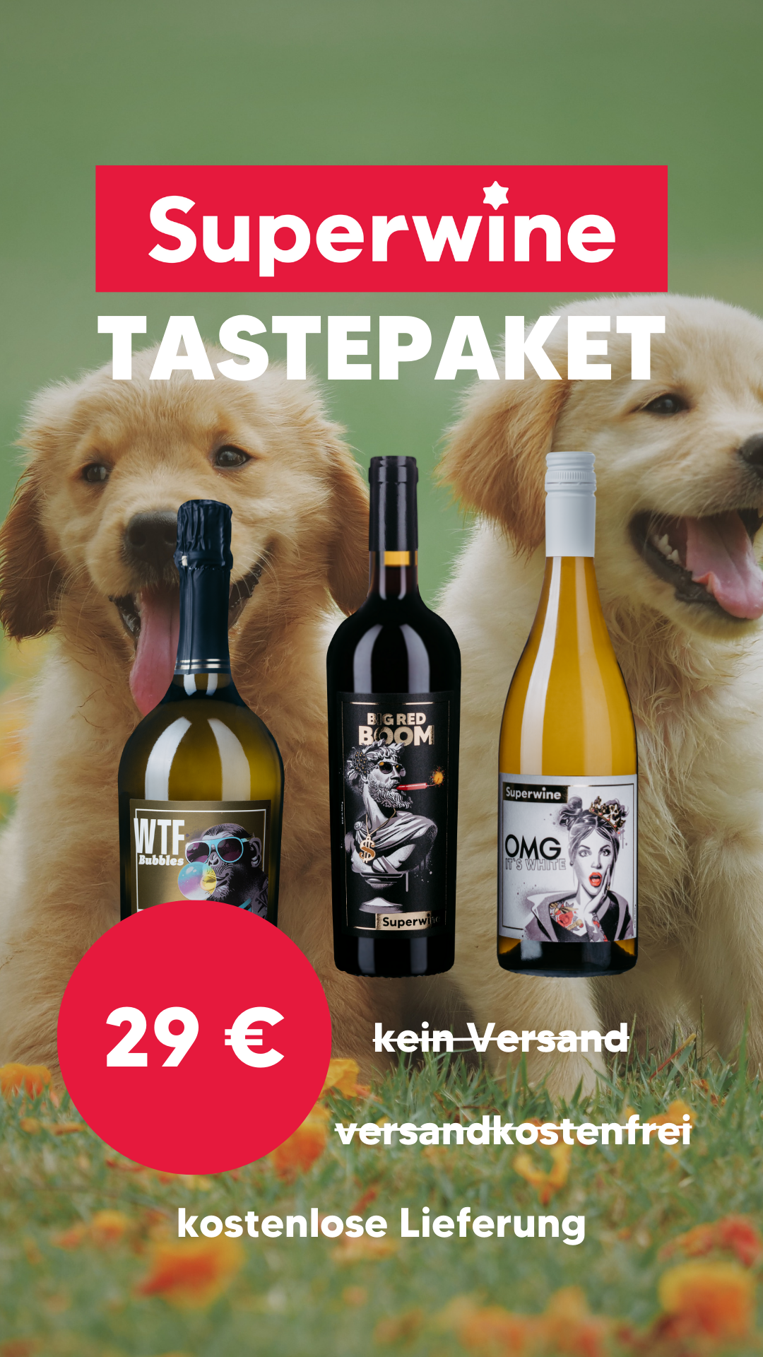 Superwine TASTE-Paket
